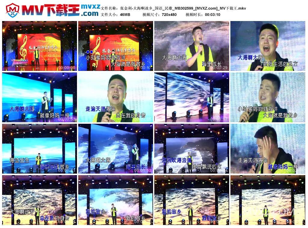 张金利-大海啊故乡_国语_民歌_MB302599